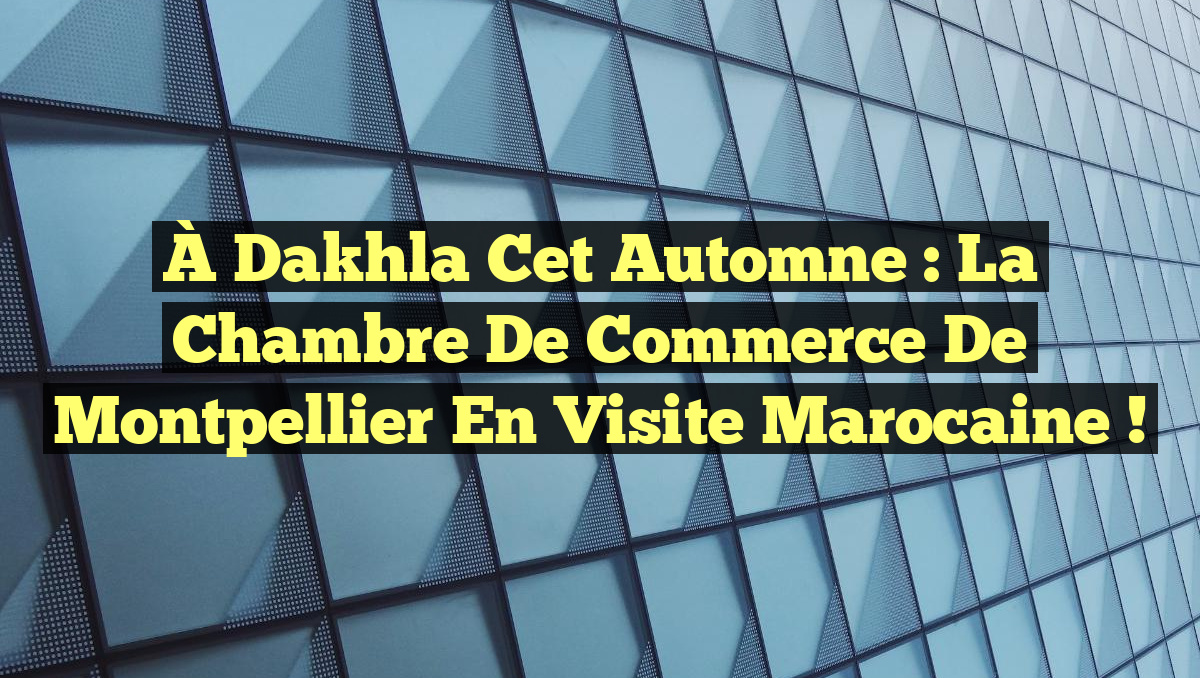 À Dakhla cet automne : La Chambre de commerce de Montpellier en visite marocaine !