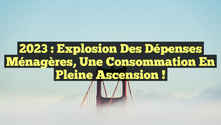 2023 : Explosion des Dépenses Ménagères, Une Consommation en Pleine Ascension !