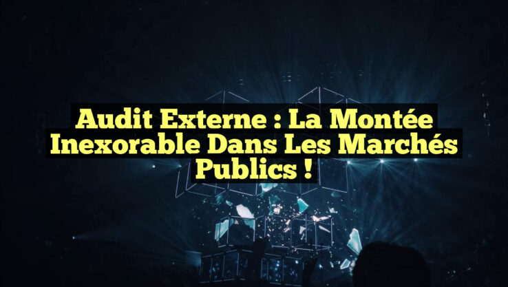 Audit externe : la montée inexorable dans les marchés publics !