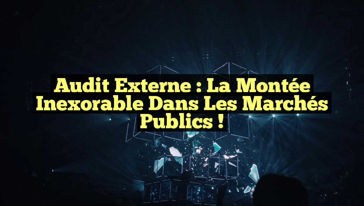 Audit externe : la montée inexorable dans les marchés publics !