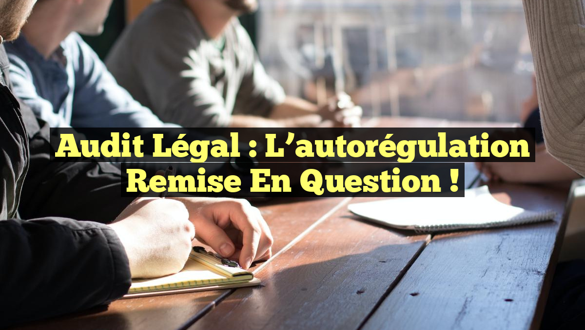 Audit légal : l&rsquo;autorégulation remise en question !