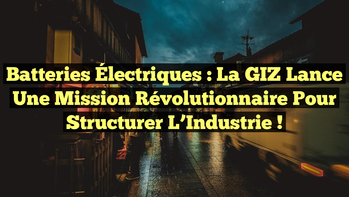Batteries Électriques : La GIZ Lance une Mission Révolutionnaire pour ...