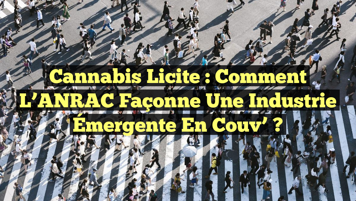 Cannabis Licite : Comment l’ANRAC Façonne une Industrie Émergente en Couv’ ?