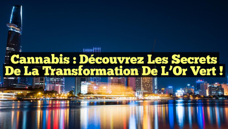 Cannabis : Découvrez les Secrets de la Transformation de l’Or Vert !