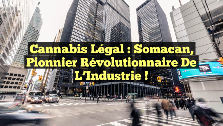 Cannabis Légal : Somacan, Pionnier Révolutionnaire de l’Industrie !