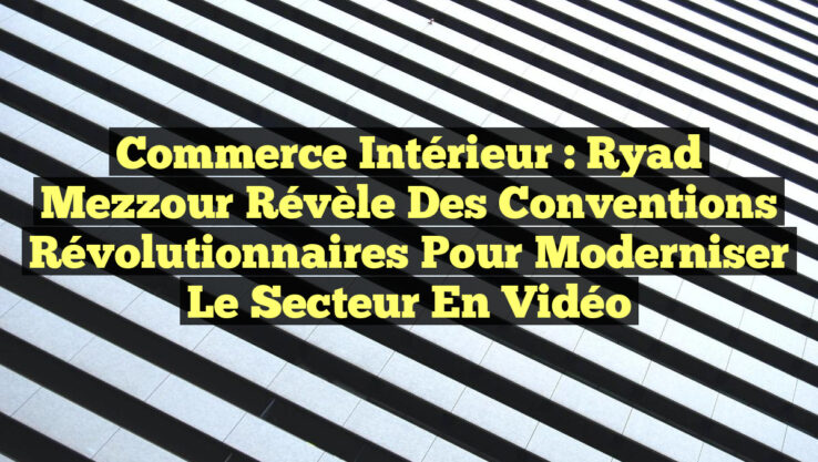 Commerce intérieur : Ryad Mezzour révèle des conventions révolutionnaires pour moderniser le secteur en vidéo