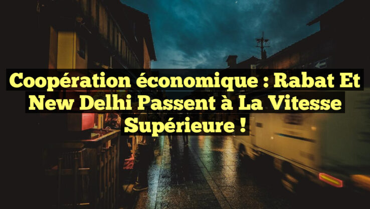 Coopération économique : Rabat et New Delhi passent à la vitesse supérieure !