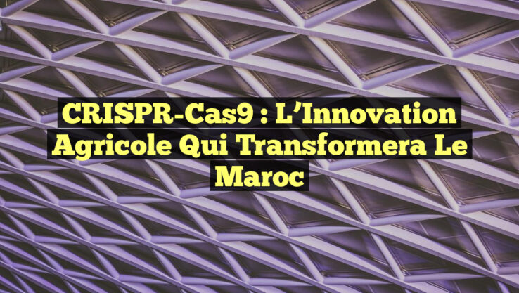CRISPR-Cas9 : L’Innovation Agricole qui Transformera le Maroc