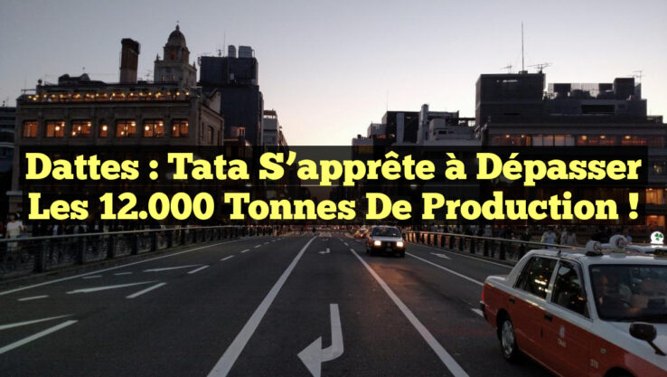 Dattes : Tata s’apprête à dépasser les 12.000 tonnes de production !