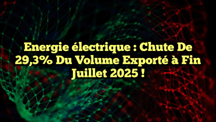 Energie électrique : Chute de 29,3% du volume exporté à fin juillet 2025 ! Energie électrique : Chute de 29,3% du volume exporté à fin juillet 2025 !