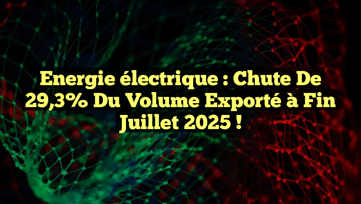 Energie électrique : Chute de 29,3% du volume exporté à fin juillet 2025 !
