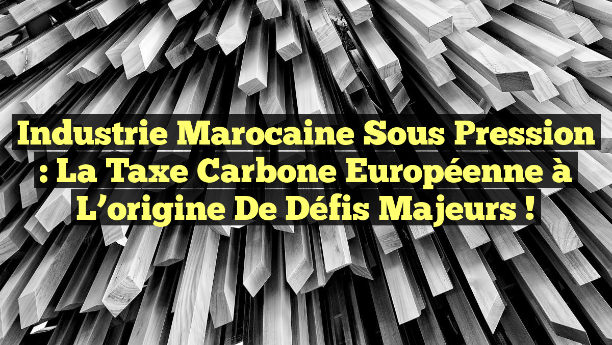 Industrie marocaine sous pression : la taxe carbone européenne à l&rsquo;origine de défis majeurs !