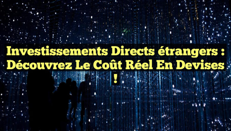 Investissements directs étrangers : découvrez le coût réel en devises !