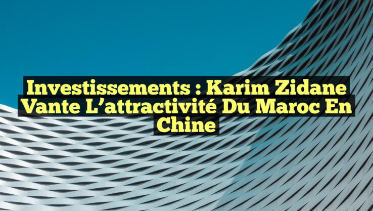 Investissements : Karim Zidane vante l’attractivité du Maroc en Chine