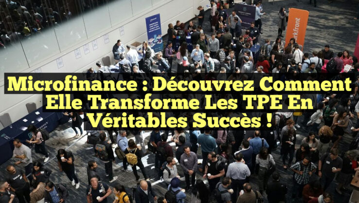 Microfinance : Découvrez comment elle transforme les TPE en véritables succès !