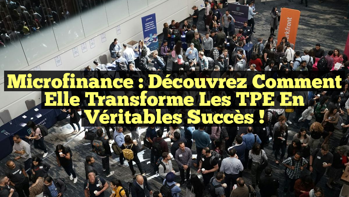Microfinance : Découvrez comment elle transforme les TPE en véritables succès !