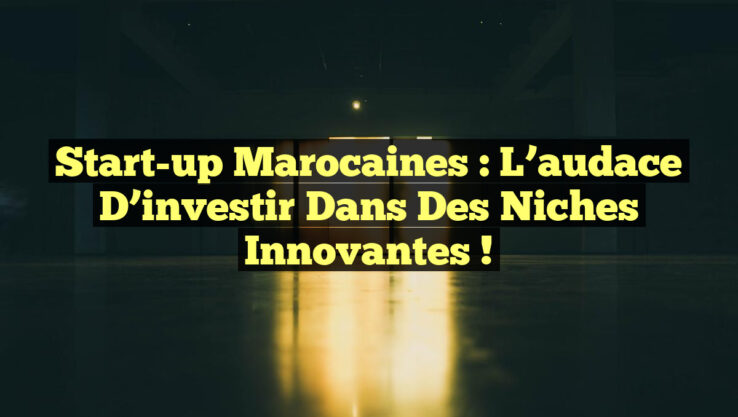 Start-up marocaines : l’audace d’investir dans des niches innovantes !