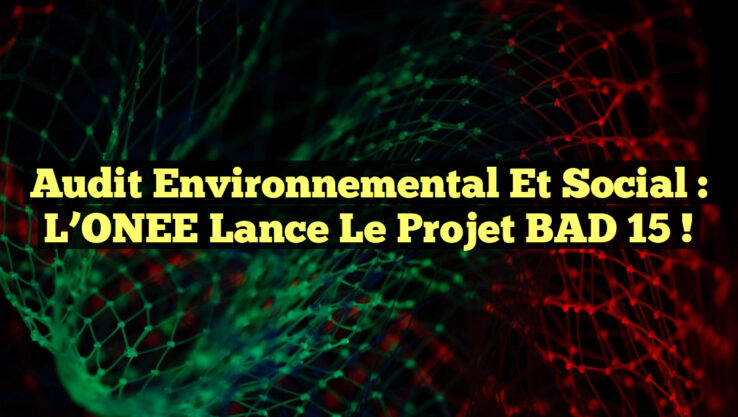 Audit Environnemental et Social : L’ONEE Lance le Projet BAD 15 !