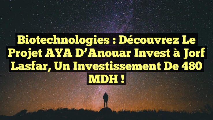 Biotechnologies : Découvrez le projet AYA d’Anouar Invest à Jorf Lasfar, un investissement de 480 MDH !