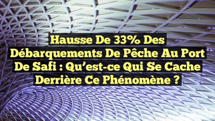 Hausse de 33% des Débarquements de Pêche au Port de Safi : Qu’est-ce qui se Cache Derrière ce Phénomène ?