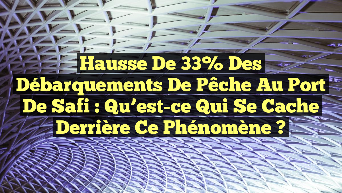 Hausse de 33% des Débarquements de Pêche au Port de Safi : Qu&rsquo;est-ce qui se Cache Derrière ce Phénomène ?