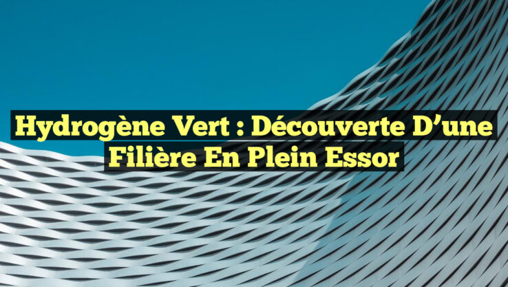 Hydrogène Vert : Découverte d’une Filière en Plein Essor