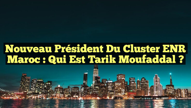 Nouveau président du Cluster ENR Maroc : Qui est Tarik Moufaddal ?