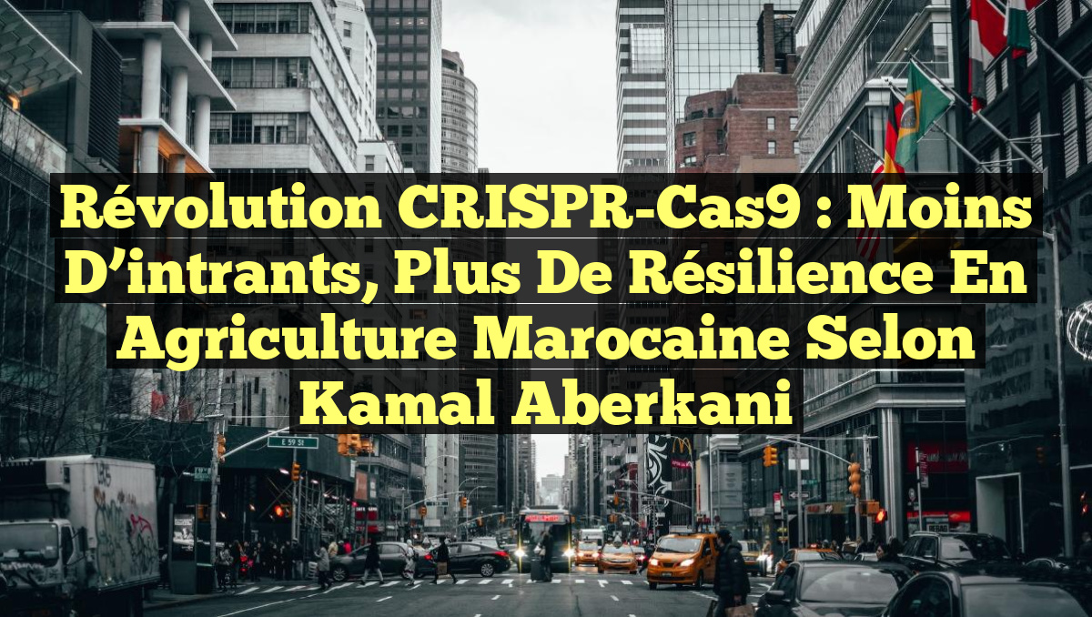 Révolution CRISPR-Cas9 : Moins d&rsquo;intrants, Plus de Résilience en Agriculture Marocaine selon Kamal Aberkani