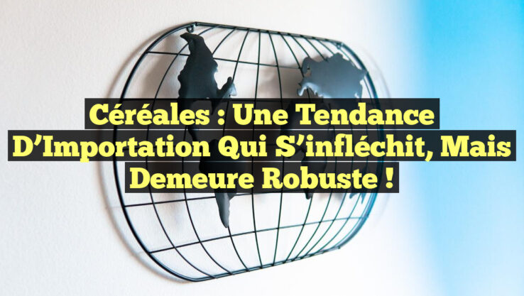 Céréales : Une Tendance d’Importation qui S’infléchit, mais Demeure Robuste !