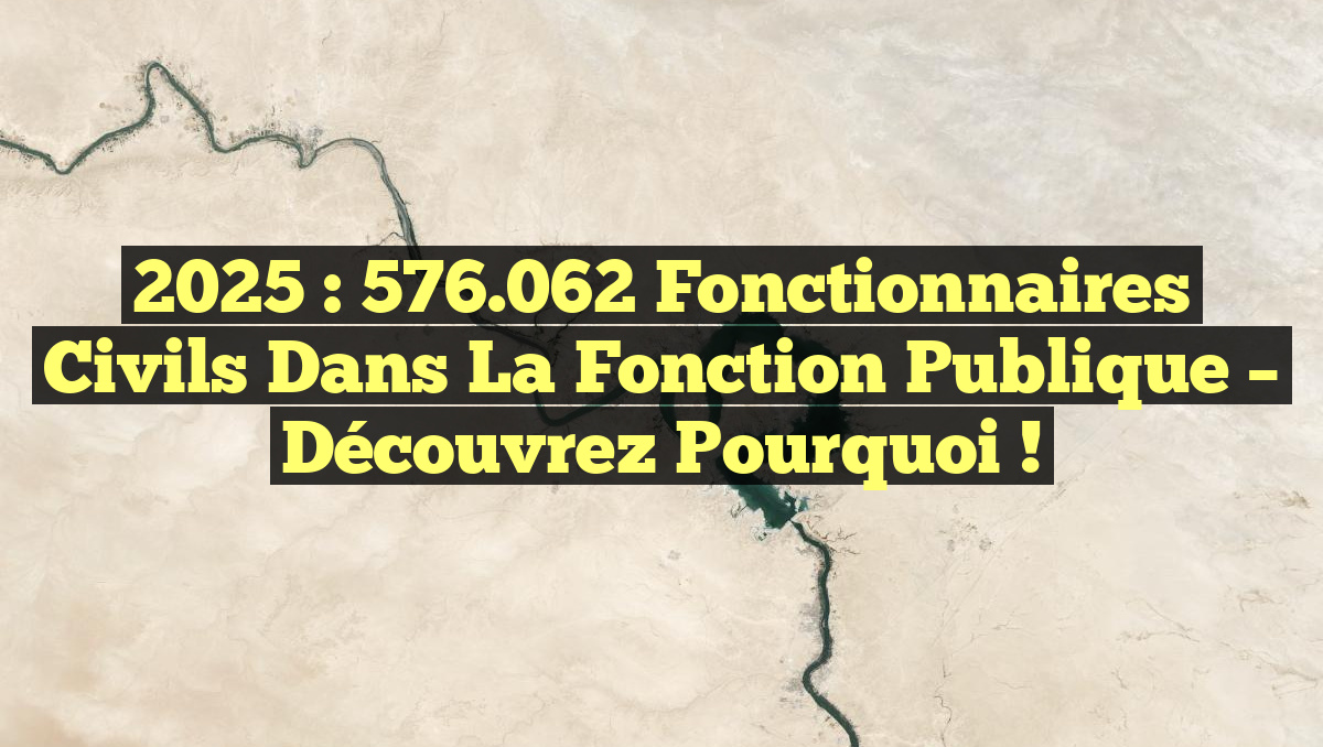 2025 : 576.062 Fonctionnaires Civils dans la Fonction Publique – Découvrez pourquoi !