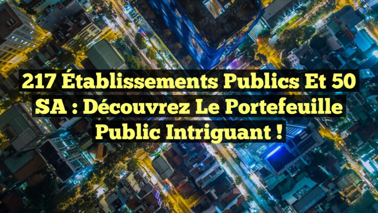 217 Établissements Publics et 50 SA : Découvrez le Portefeuille Public Intriguant !