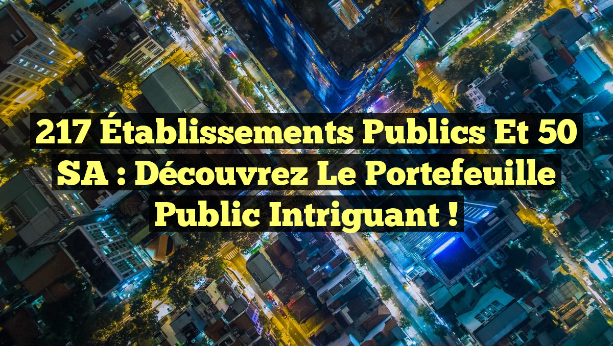 217 Établissements Publics et 50 SA : Découvrez le Portefeuille Public Intriguant !