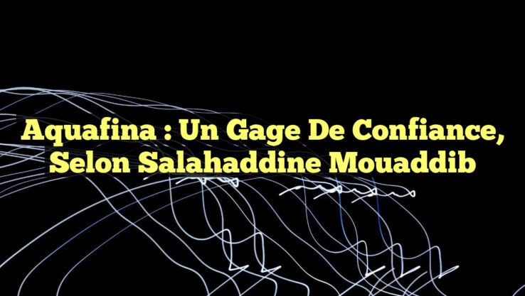 Aquafina : Un Gage de Confiance, selon Salahaddine Mouaddib