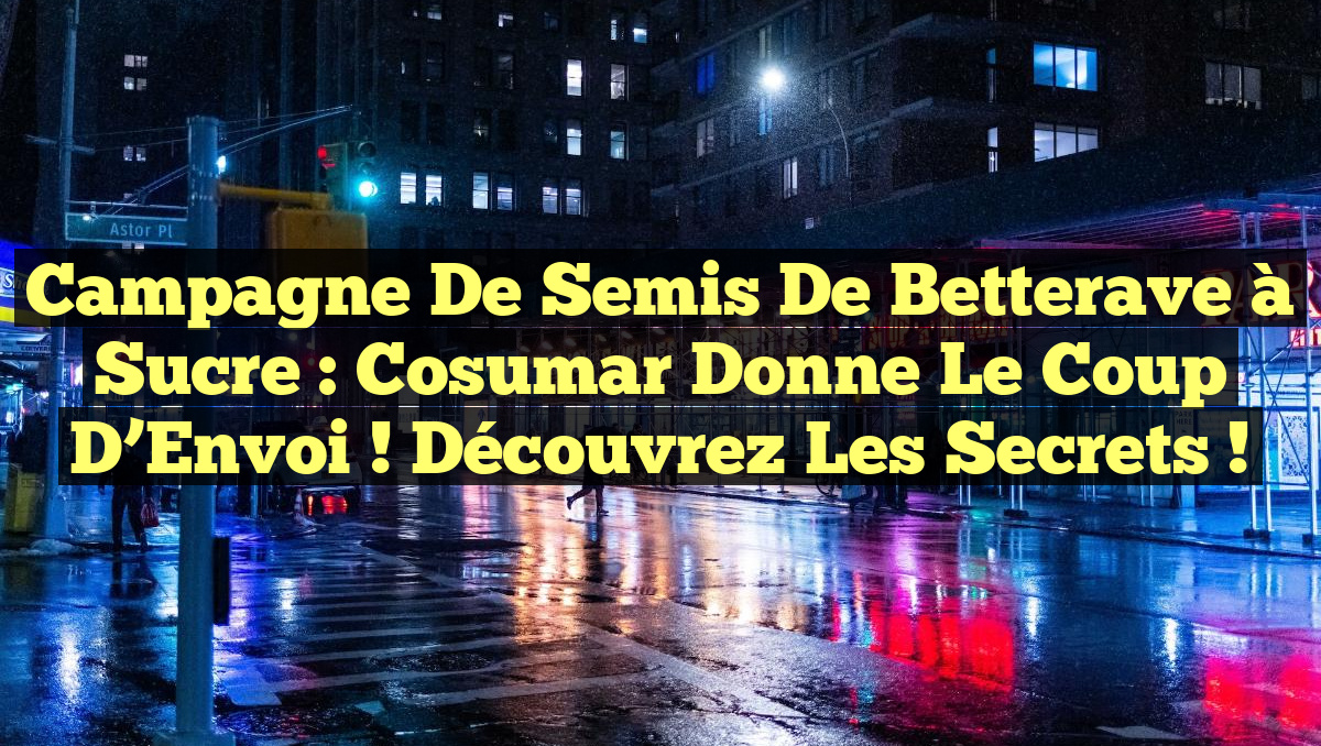 Campagne de Semis de Betterave à Sucre : Cosumar Donne le Coup d&rsquo;Envoi ! Découvrez les Secrets !