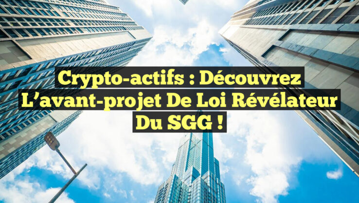 Crypto-actifs : Découvrez l’avant-projet de loi révélateur du SGG ! Crypto-actifs : Découvrez l’avant-projet de loi révélateur du SGG !