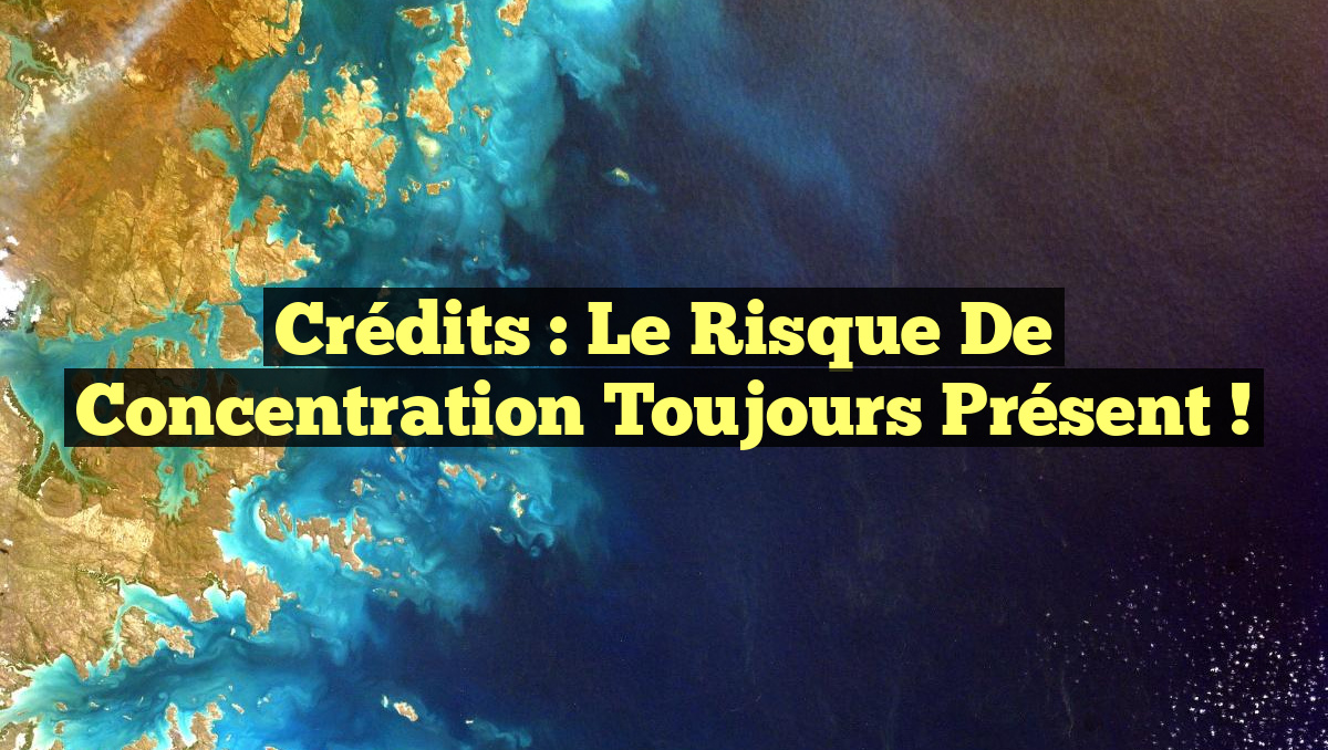 Crédits : Le Risque de Concentration Toujours Présent !