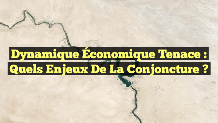 Dynamique Économique Tenace : Quels Enjeux de la Conjoncture ?
