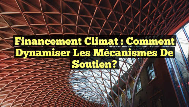 Financement Climat : Comment Dynamiser les Mécanismes de Soutien?