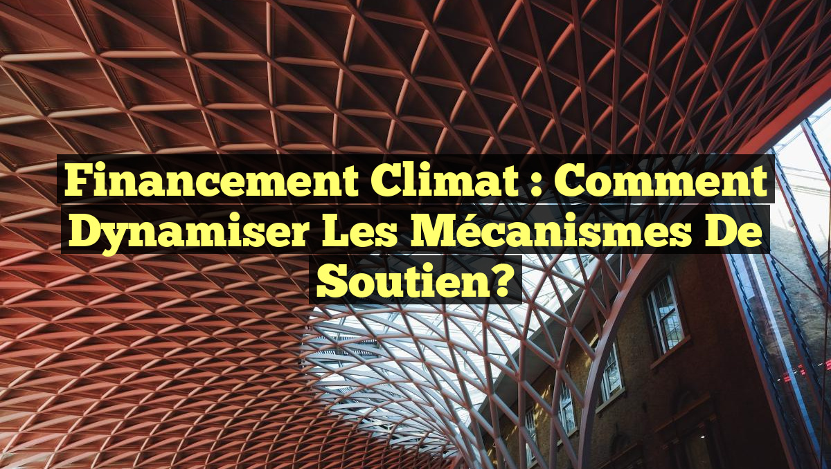 Financement Climat : Comment Dynamiser les Mécanismes de Soutien?