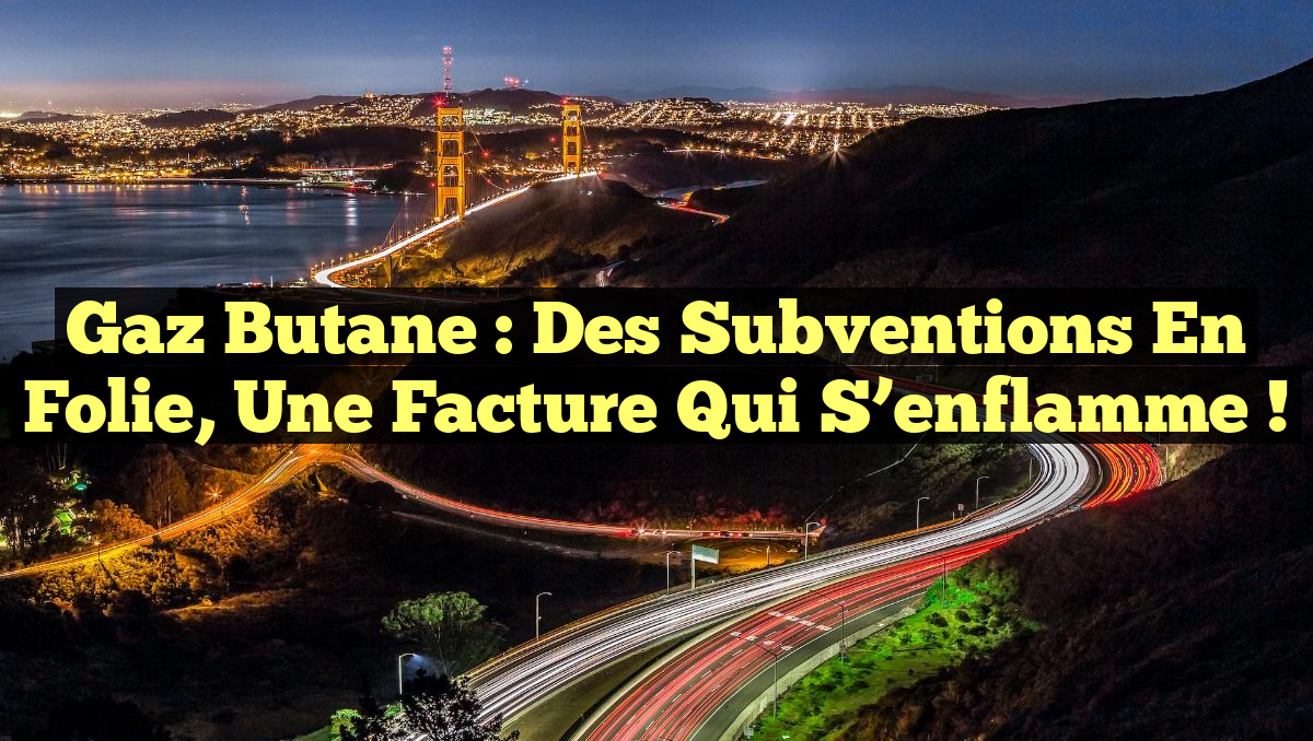 Gaz butane : des subventions en folie, une facture qui s&rsquo;enflamme !