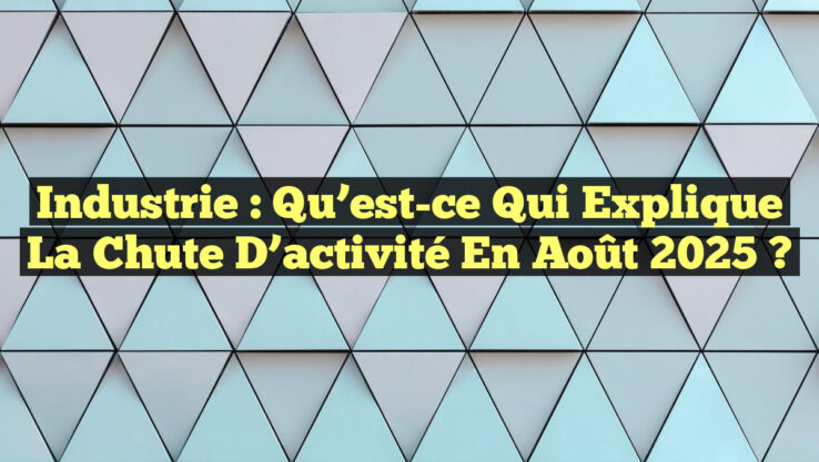 Industrie : Qu’est-ce qui explique la chute d’activité en août 2025 ?