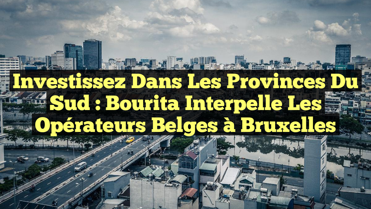 Investissez dans les provinces du Sud : Bourita interpelle les opérateurs belges à Bruxelles