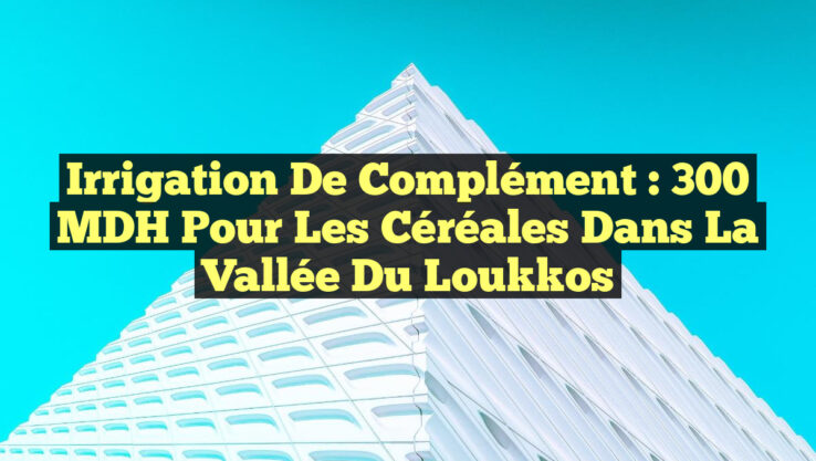 Irrigation de Complément : 300 MDH pour les Céréales dans la Vallée du Loukkos