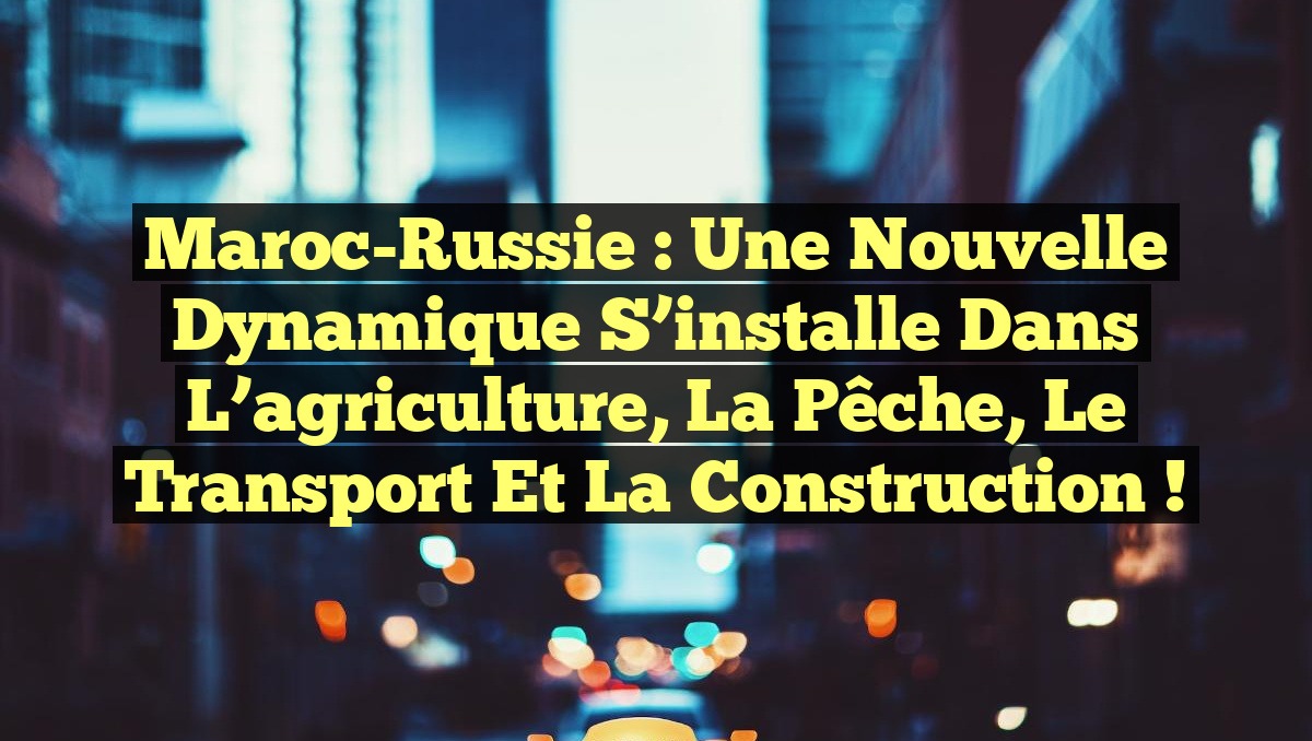 Maroc-Russie : Une nouvelle dynamique s&rsquo;installe dans l&rsquo;agriculture, la pêche, le transport et la construction !