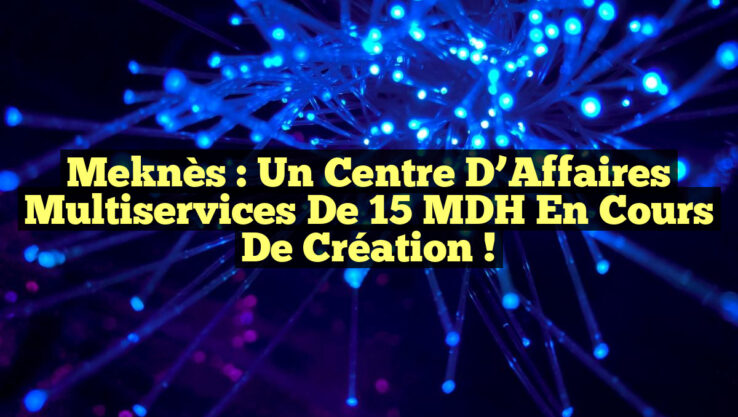 Meknès : Un Centre d’Affaires Multiservices de 15 MDH en Cours de Création !