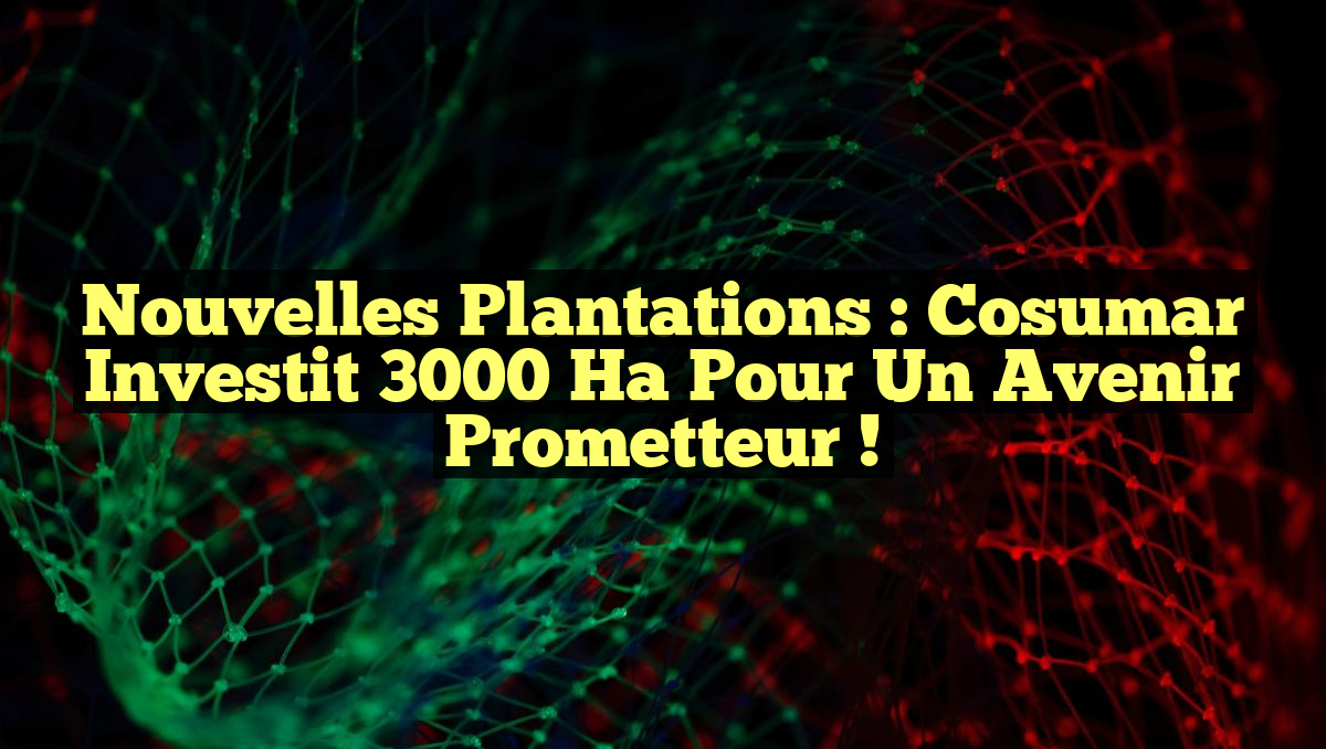 Nouvelles plantations : Cosumar investit 3000 ha pour un avenir prometteur !