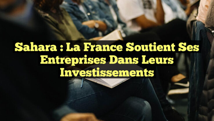 Sahara : La France soutient ses entreprises dans leurs investissements