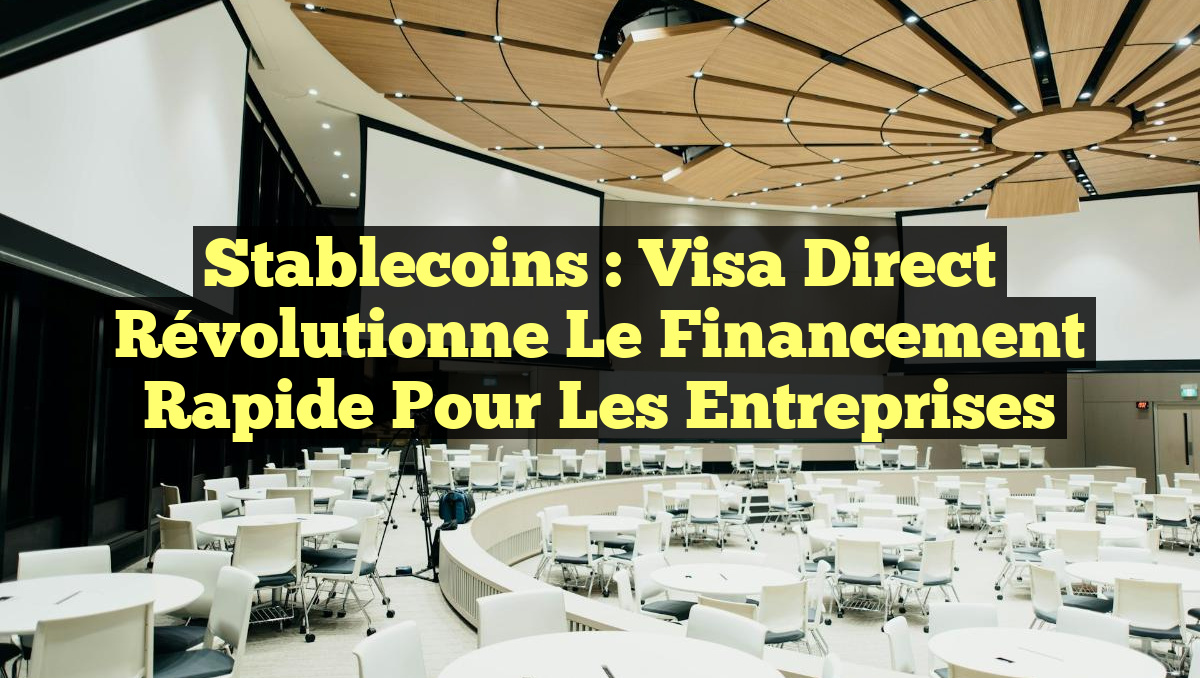 Stablecoins : Visa Direct Révolutionne le Financement Rapide pour les Entreprises