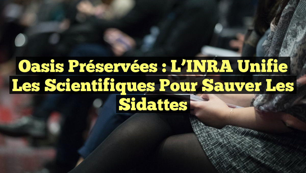 Oasis Préservées : L’INRA Unifie les Scientifiques pour Sauver les Sidattes