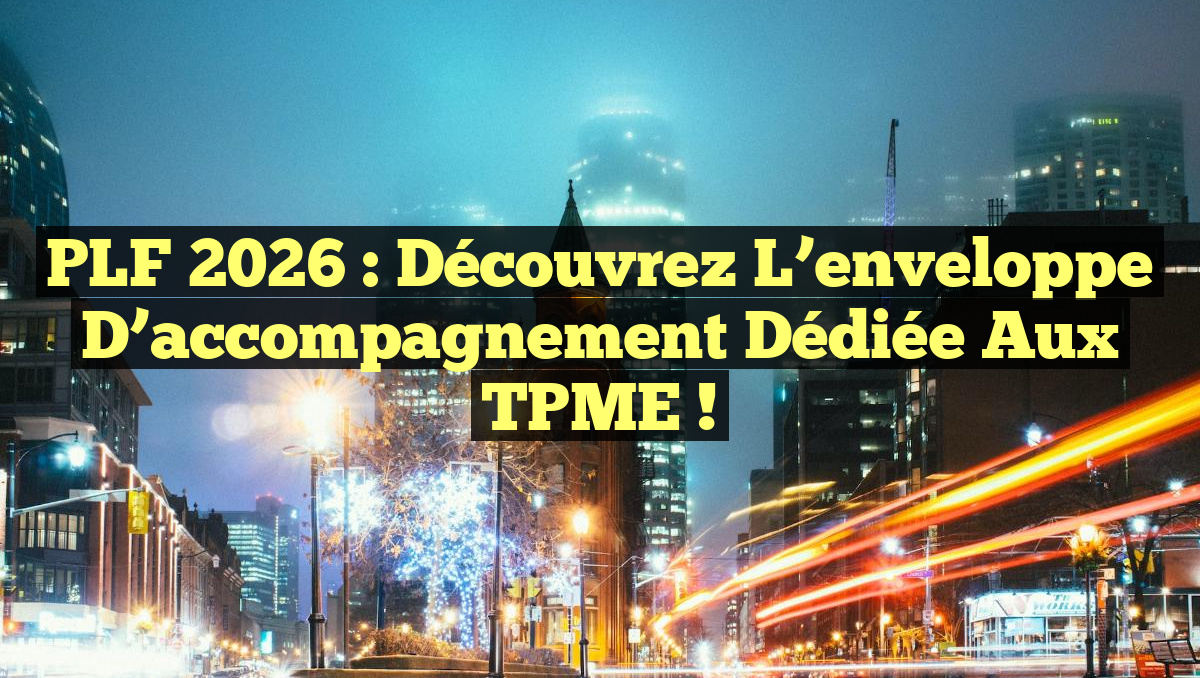 PLF 2026 : Découvrez l&rsquo;enveloppe d&rsquo;accompagnement dédiée aux TPME !